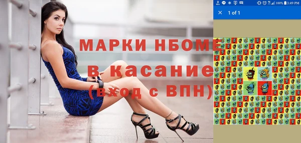 гидра Анжеро-Судженск