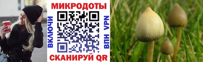 гидра tor  Чусовой  Галлюциногенные грибы ЛСД 