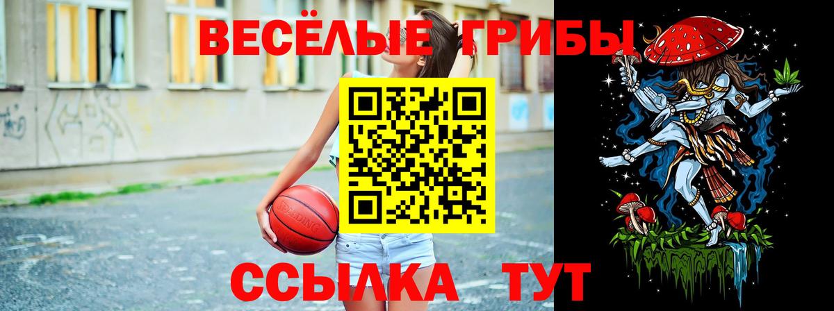 Галлюциногенные грибы GOLDEN TEACHER  Псилоцибиновые грибы GOLDEN TEACHER  Чусовой  Вход с VPN 