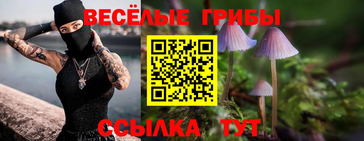Галлюциногенные грибы ЛСД Чусовой